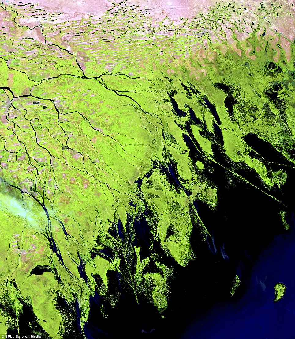 Đồng bằng Volga ở Nga: Do sự biến đổi mực nước ở Biển Caspi, đồng bằng này đã mở rộng từ 3.000 km vuông lên hơn 25.000 km vuông trong hơn 130 năm qua