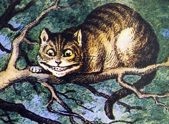 Hình minh họa con mèo Cheshire