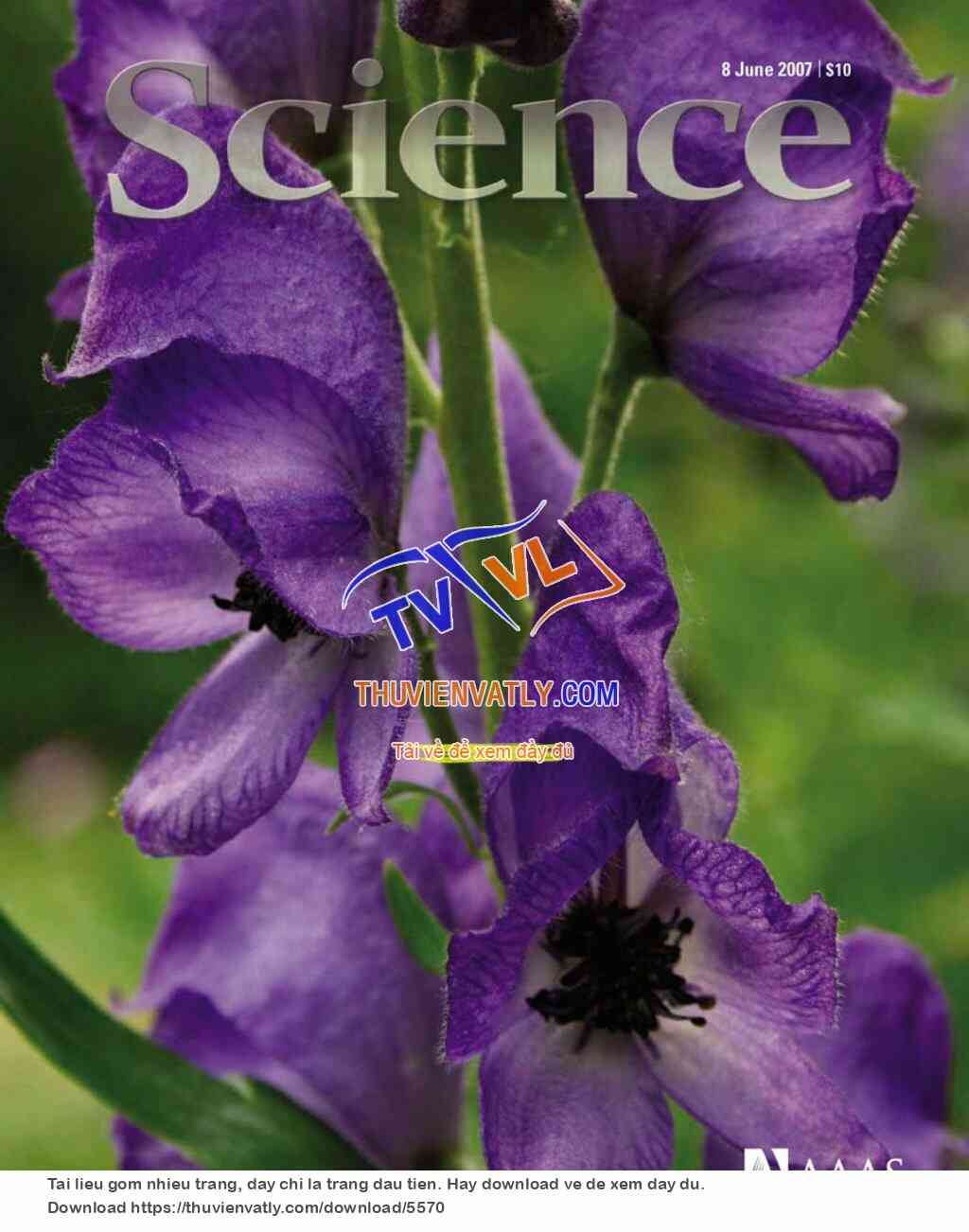 Science Magazine_2007-06-08