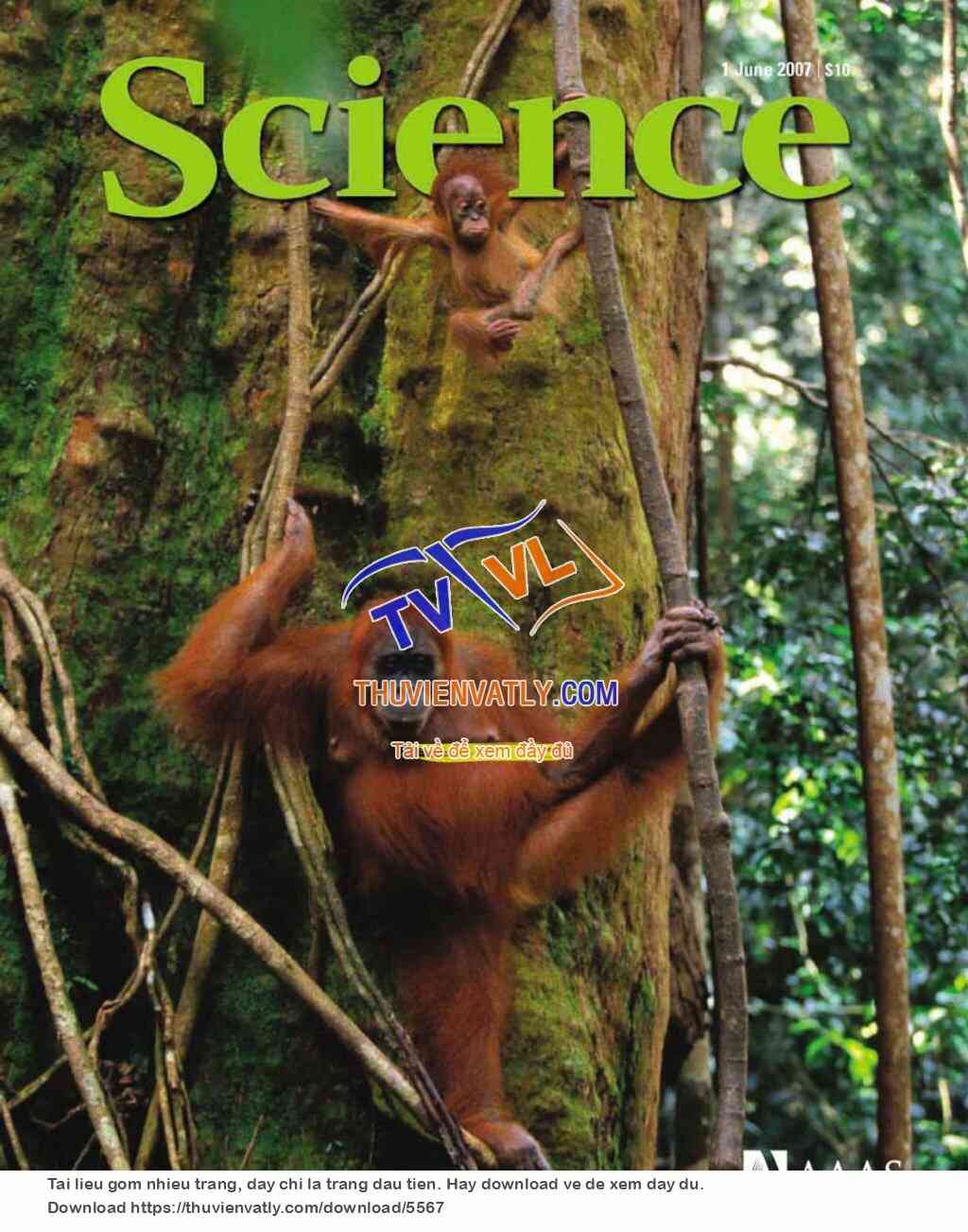 Science Magazine_2007-06-01