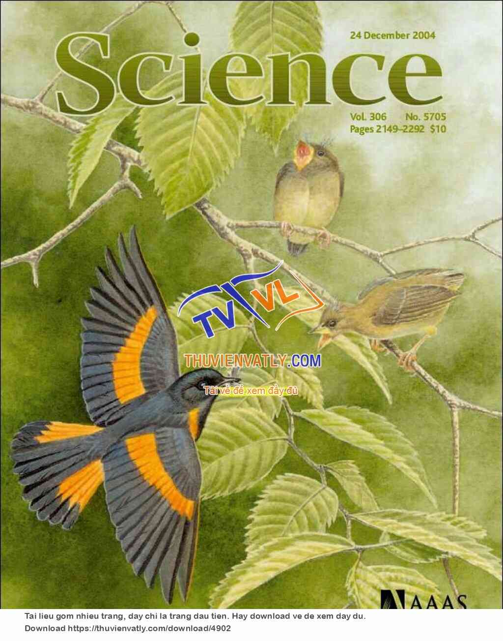 Science Magazine_24-12-2004