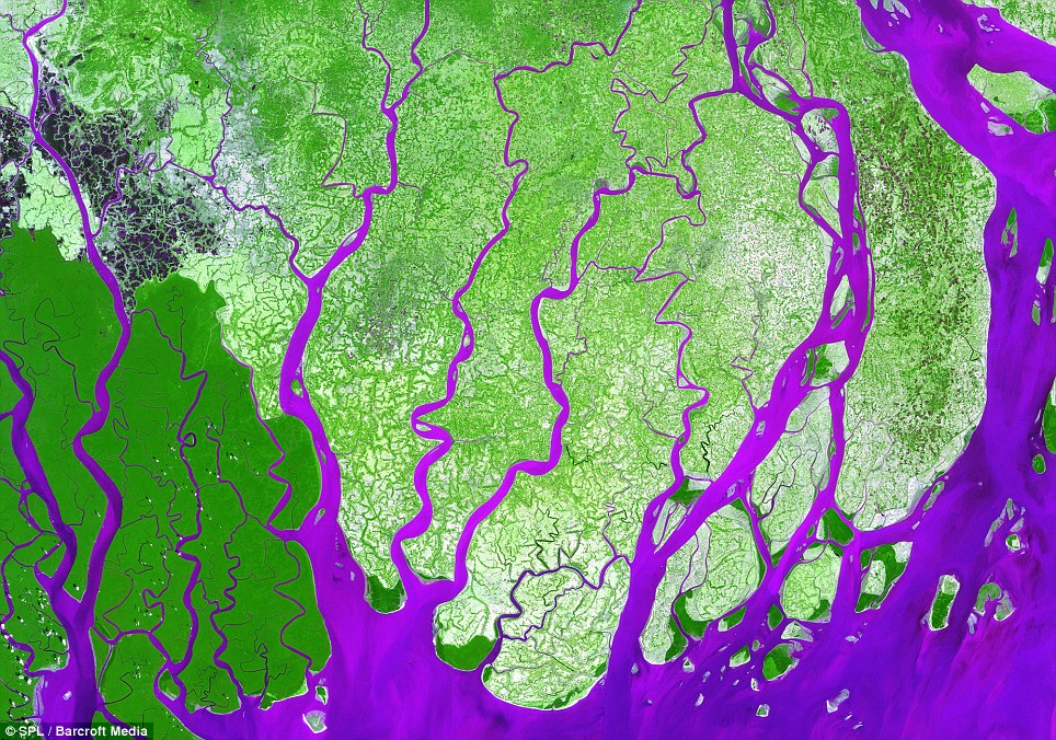 Đồng bằng Sông Ganges, Bangladesh, với màu giả thể hiện sự tương phản giữa đất liền và mặt nước