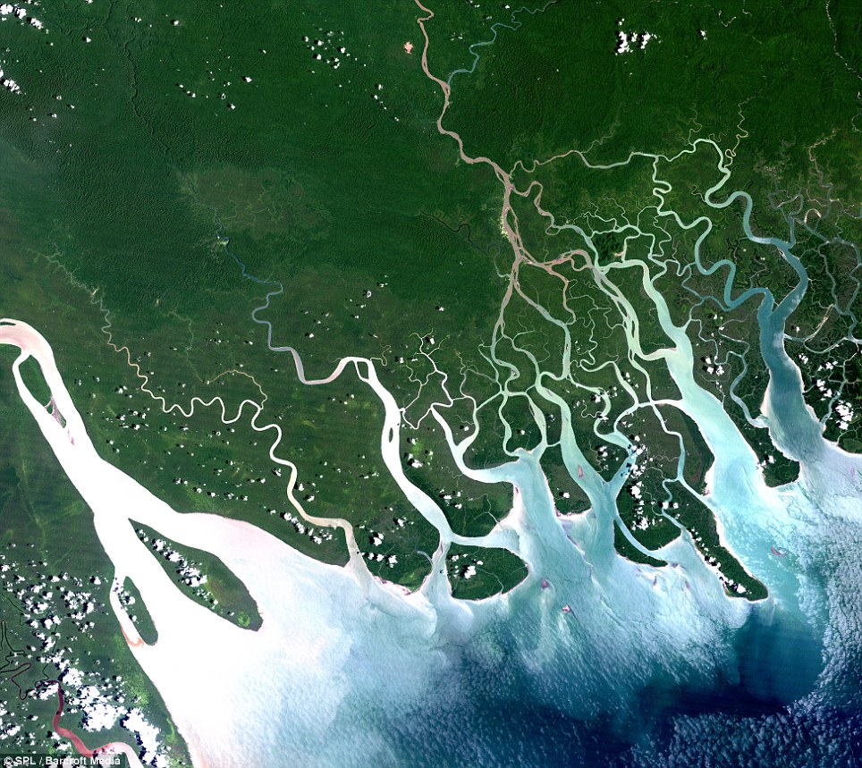 Vịnh Papua, Papua New Guinea: Khu vực rộng 400 km gồm một vùng biển rộng xấp xỉ 35.000 km vuông, với miền duyên hải phủ xanh những cánh rừng đước