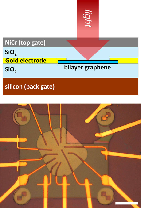 Phần trên của hình thể hiện graphene lớp đôi nằm giữa hai điện cực cổng và gắn với hai điện cực bằng vàng. Ảnh chụp hiển vi (dưới) thể hiện xạ năng kế graphene hoàn chỉnh với thanh tỉ lệ dài 20 μm. (Ảnh: M Fuhrer)
