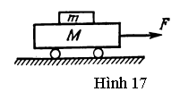 Hình 17