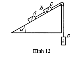 Hình 12