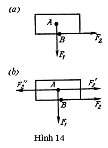 Hình 14