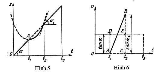 Hình 5 & 6