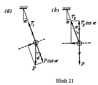 Hình 21