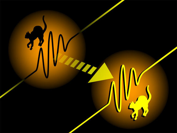Hình minh họa cách viễn tải các gói sóng của con mèo Schrodinger 