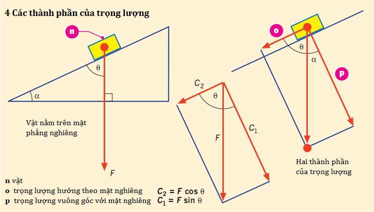 Tổng hợp lực