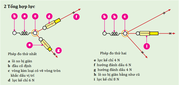 Tổng hợp lực