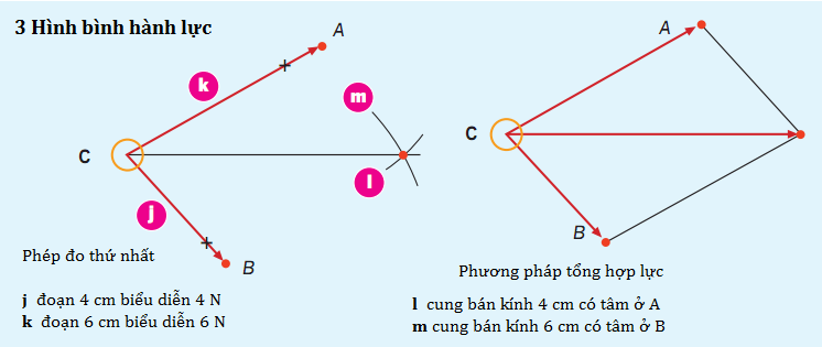 Tổng hợp lực