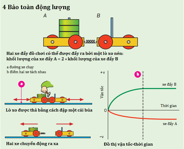 Bảo toàn động lượng