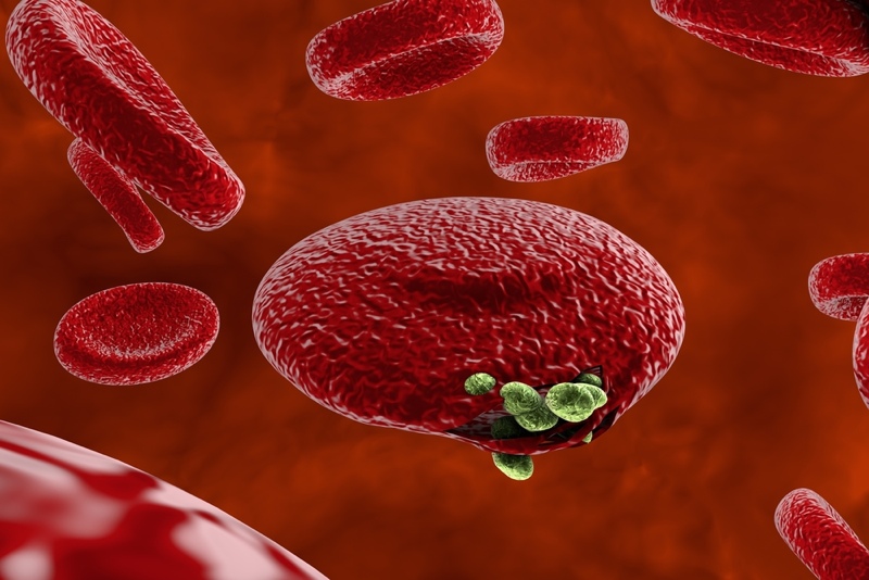 Giải Nobel Y học 2015 trao cho các nghiên cứu thuốc kháng kí sinh trùng