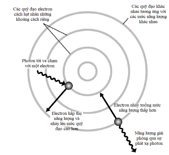 Cấu trúc nguyên tử của Bohr