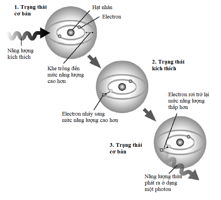 Trạng thái cơ bản