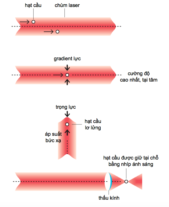 Cách Ashkin tạo ra bẫy ánh sáng