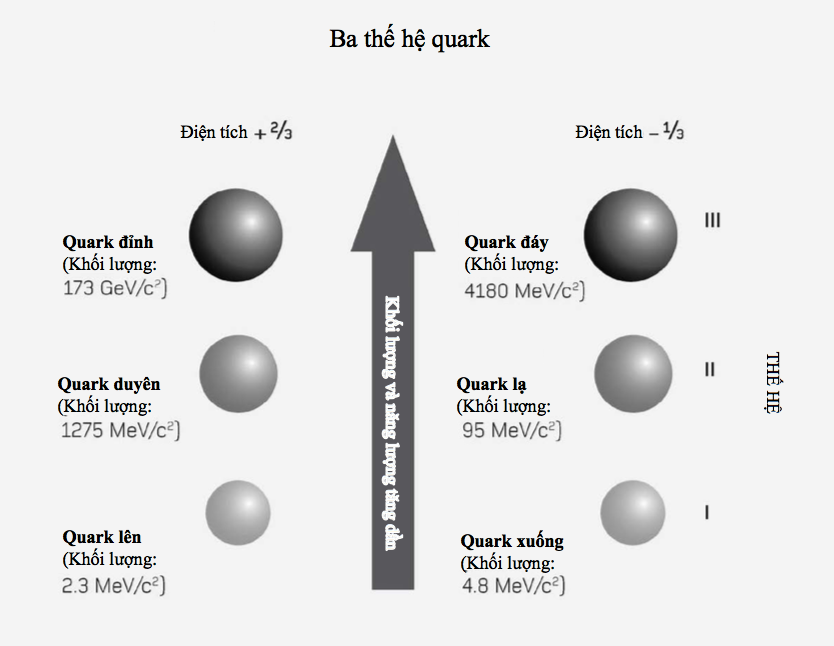 Quark