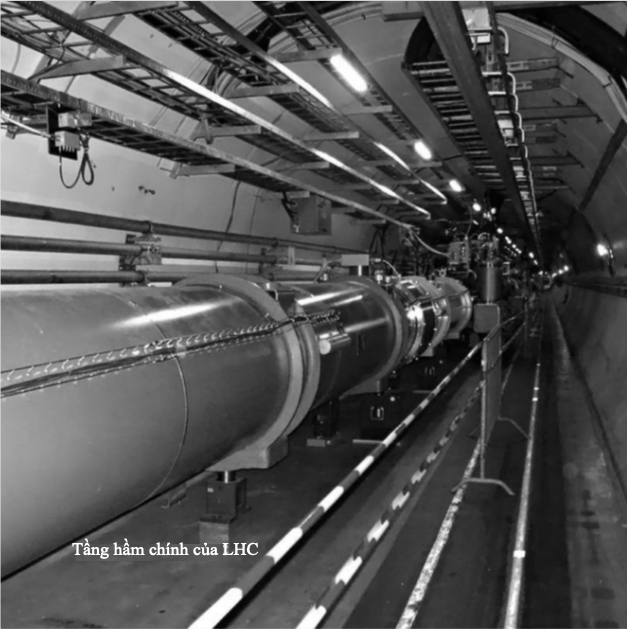 Các khám phá LHC
