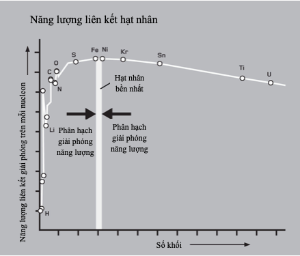 Các lực trong hạt nhân