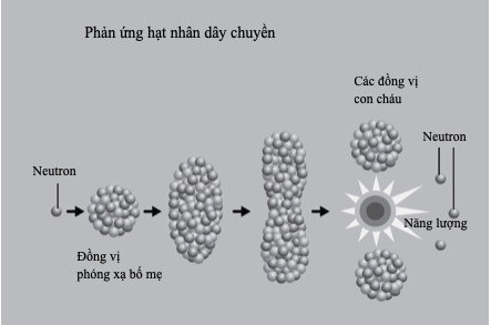 Sự phân hạch