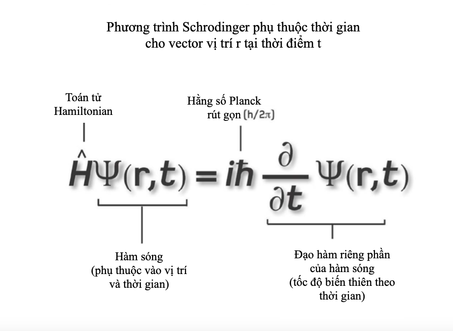 Cơ học sóng