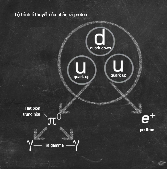 Phân rã proton