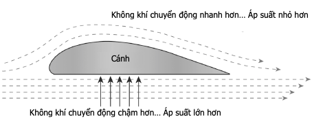 Bốn lực tác dụng lên một máy bay