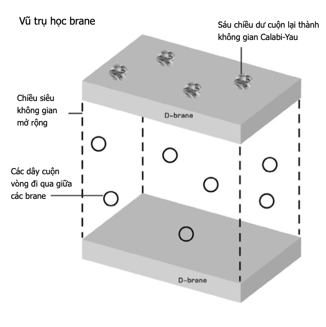 Lí thuyết brane