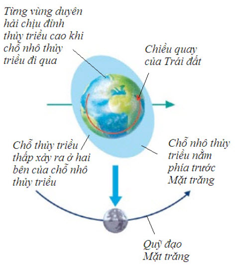 Thủy triều và Mặt trăng