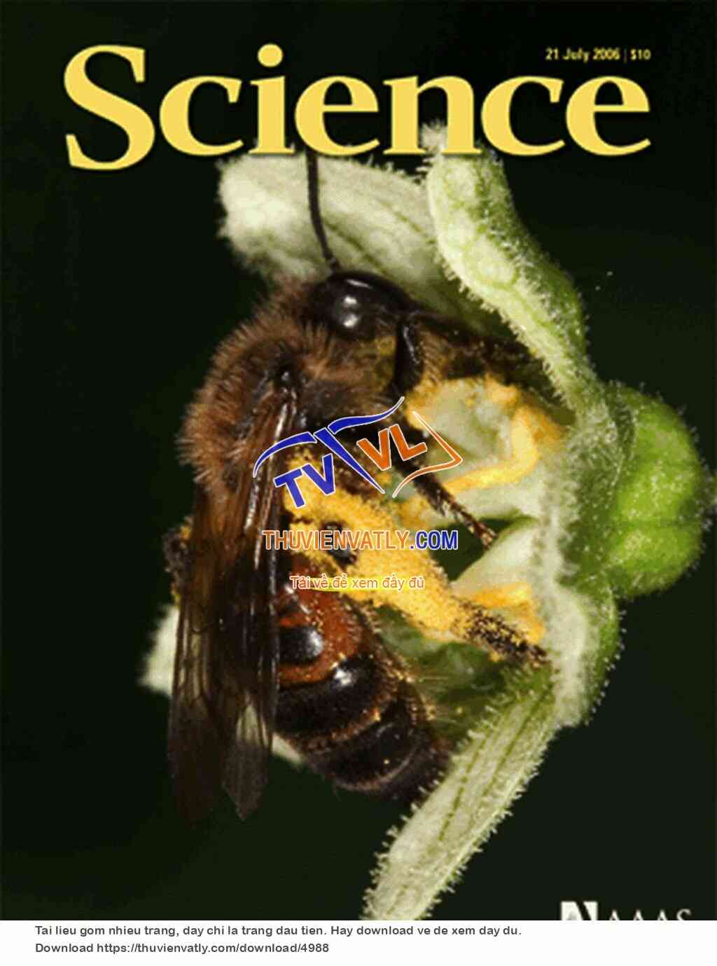 Science Magazine_2006-07-21