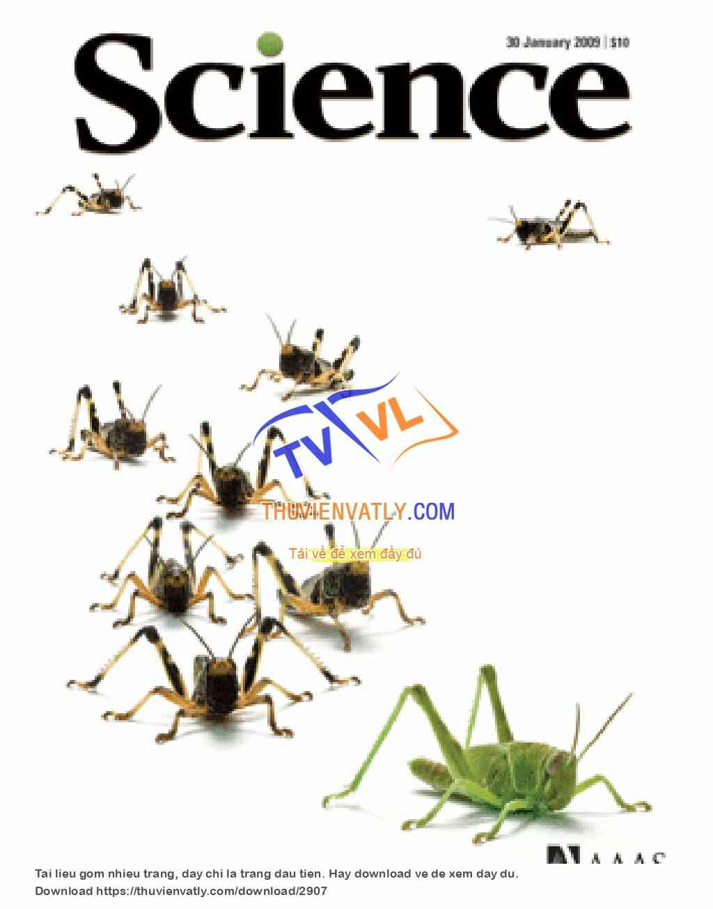 Tạp chí Science, số ngày 30/01/2009