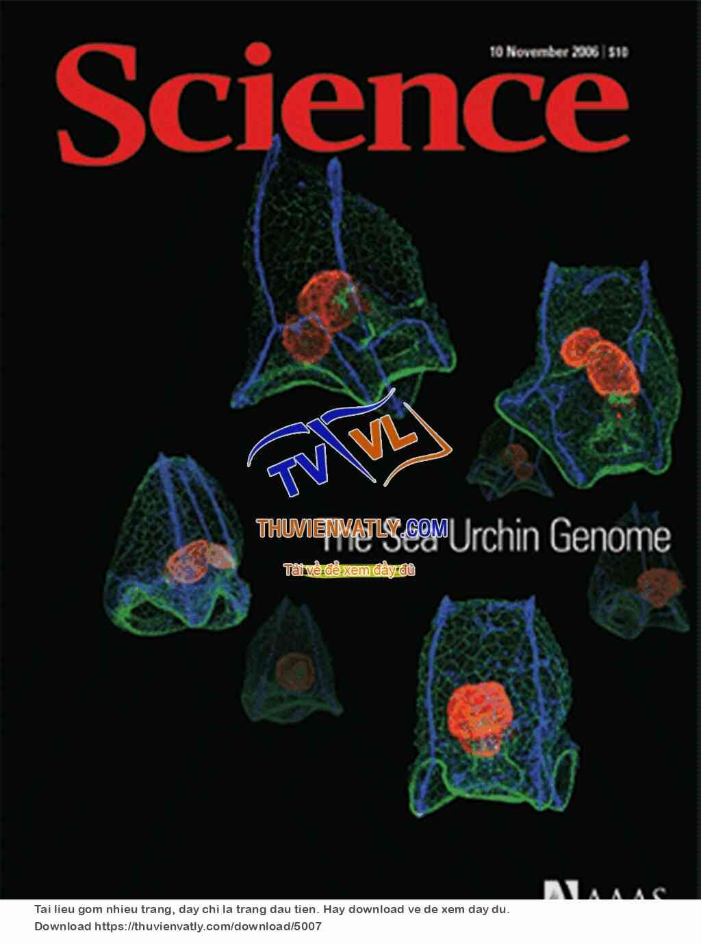 Science Magazine_2006-11-10