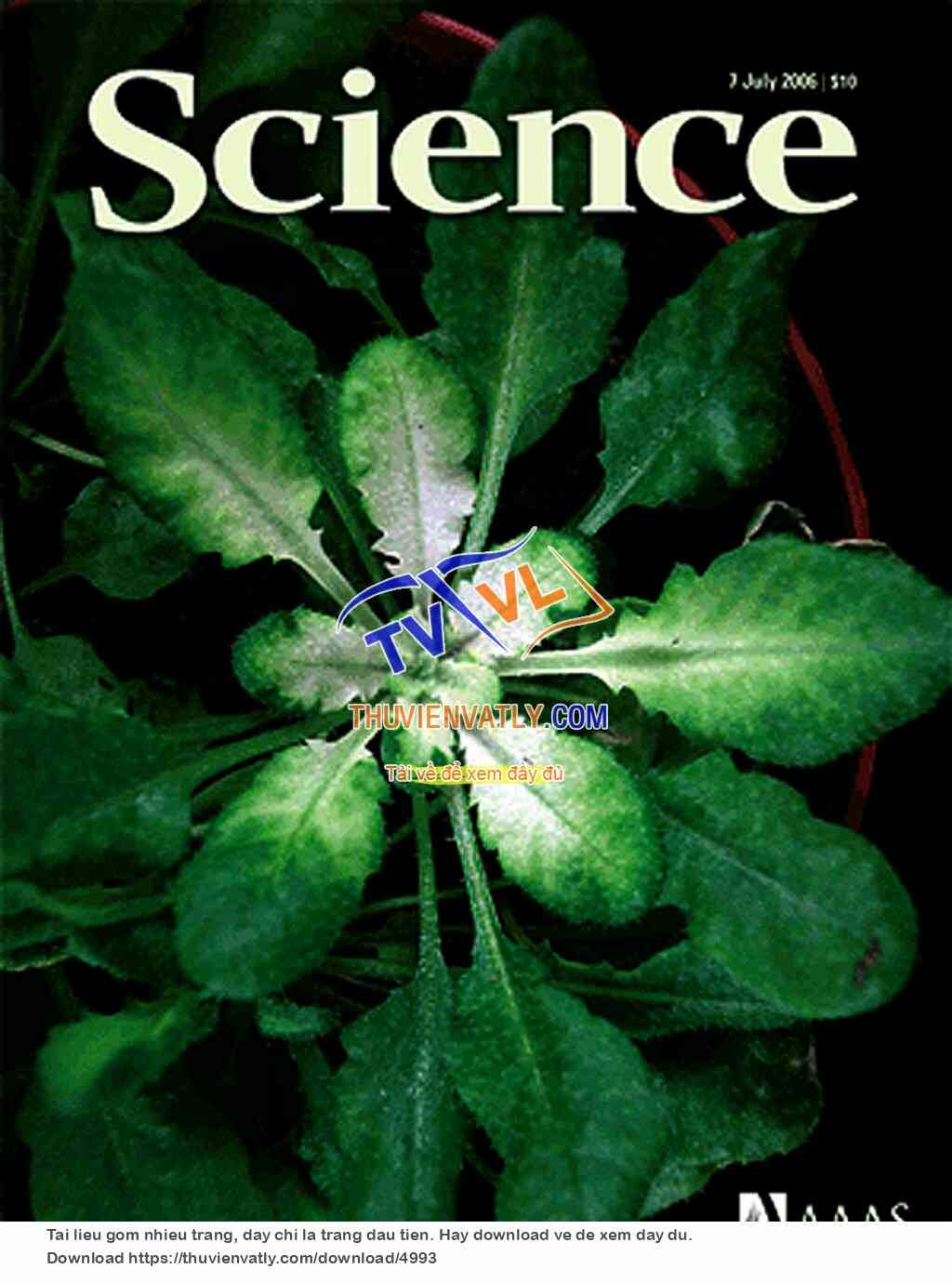 Science Magazine_2006-07-07