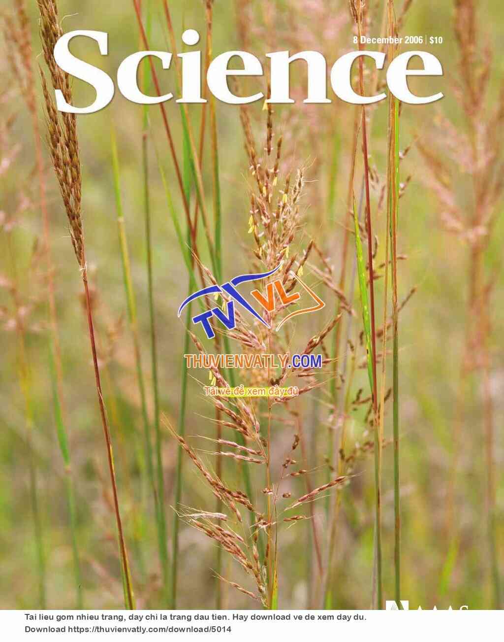 Science Magazine_2006-12-08