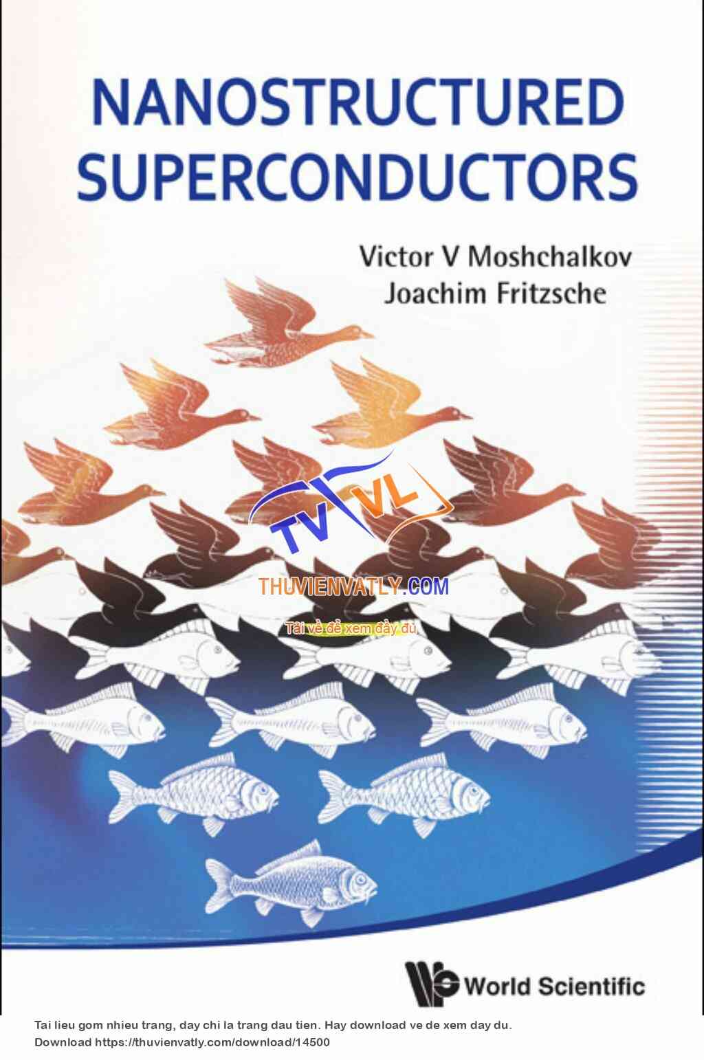 Nanostructured Superconductors - V. Moshchalkov, J. Fritzsche (World, 2011)
