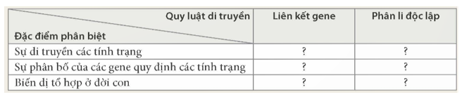 3. Dựa vào kiến thức đã học, phân biệt quy luật di truyền liên kết với quy luật di truyền phân li độc lập bằng cách hoàn thành vào vở theo mẫu Bảng 45.1.

Bảng