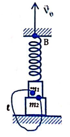 Cho cơ hệ như hình vẽ, vật nhỏ m1, m2 nối với nhau nhờ sợi dây nhẹ, không dãn có chiều dài l=12cm,  ban đầu lò xo không biến dạng. Tại t0=0  kéo đầu B