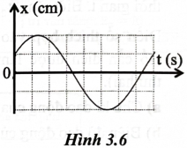 Đồ thị li độ – thời gian của một vật dao động điều hoà được cho như Hình 3.6.

Xét tính đúng/sai của các phát biểu sau:      

Phát biểu    

Đúng    

Sai