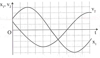 Hai vật M1 và M2 dao động điều hòa cùng tần số. Hình bên là đồ thị biểu diễn sự phụ thuộc của li độ x của M1 và vận tốc v2 của M2 theo thời gian t. Hai