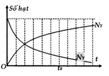 Hạt nhân mẹ X phóng xạ tạo thành hạt nhân con Y. Sự phụ thuộc số hạt nhân X và Y theo thời gian được Cho bởi đồ thị. Tỉ số hạt nhân  NYNX     tại thời