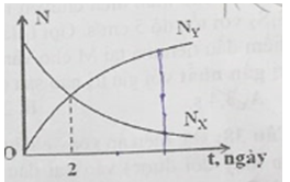 Hạt nhân X bị phóng xạ thành hạt nhân bền Y. Hình bên là đồ thị biểu diễn sụ phụ thộc của số hạt nhân X và số hạt nhân Y theo thời gian. Lúc t = 6 ngày,