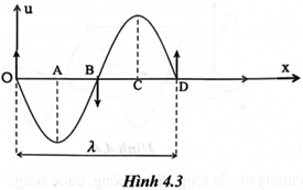 Hình 4.3 mô tả hình ảnh một sợi dây khi có sóng truyền qua: hướng truyền sóng dọc theo trục Ox, các mũi tên cho biết hướng chuyển động của các phần tử