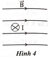 Hình 4 mô tả một đoạn dây dẫn mang dòng điện I được đặt trong một từ trường đều có các đường sức từ nằm ngang. Lực từ tác dụng lên đoạn dây dẫn này có