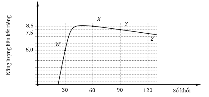 Hình vẽ bên dưới là đường cong mô tả gần đúng năng lượng liên kết riêng của các hạt nhân theo số khối. W, X, Y và Z là bốn hạt nhân được đánh dấu trên