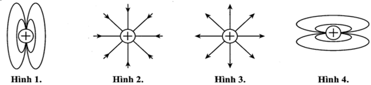 Hình vẽ nào sau đây là đúng khi vẽ đường sức điện của một điện tích dương?