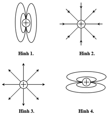 Hình vẽ nào sau đây là đúng khi vẽ đường sức điện của một điện tích dương?