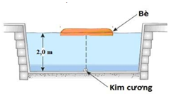 Kẻ trộm giấu viên kim cương ở dưới đáy bể bơi. Anh ta đặt chiếc (ảnh 1)