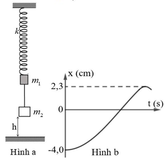 Một con lắc lò xo gồm lò xo nhẹ có độ cứng  \(k = 100{\rm{\;N}}/{\rm{m}}\)  , đầu trên cố định, đầu dưới gắn với vật  \({m_1}\)   có khối lượng  \(100{\rm{\;g}}\)